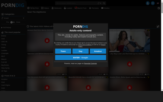 PornDig
