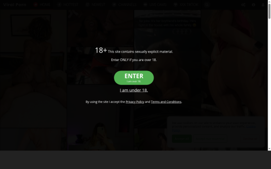 Viral Porn